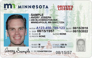 MN DVS driver's license